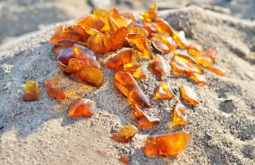 1585826714 mariposa verdeambar sin logo