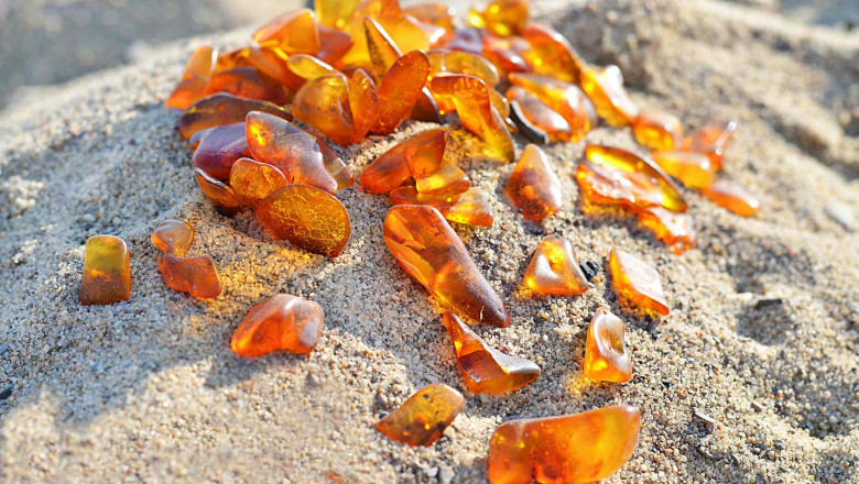 1585826714 mariposa verdeambar sin logo