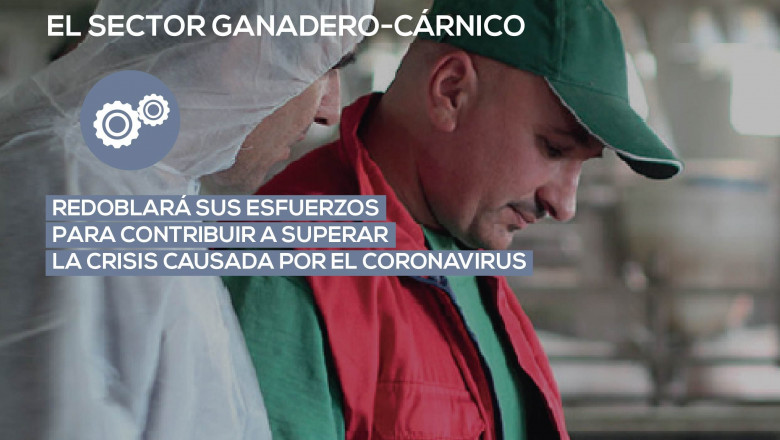 1589962791 el sector ganadero 02