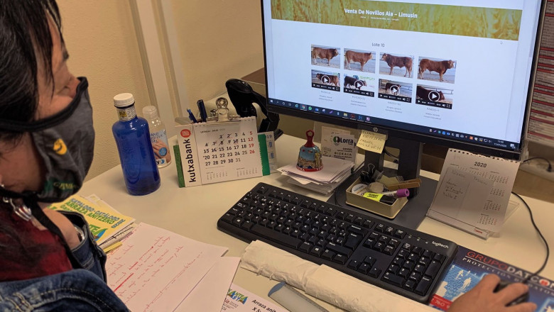 1615543877 comunicae