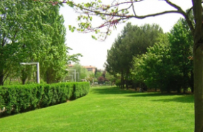 1635443209 captura de pantalla 2021 10 28 a les 194604