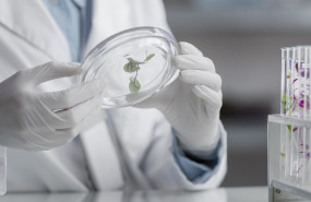 1646759385 gvarkopharma 