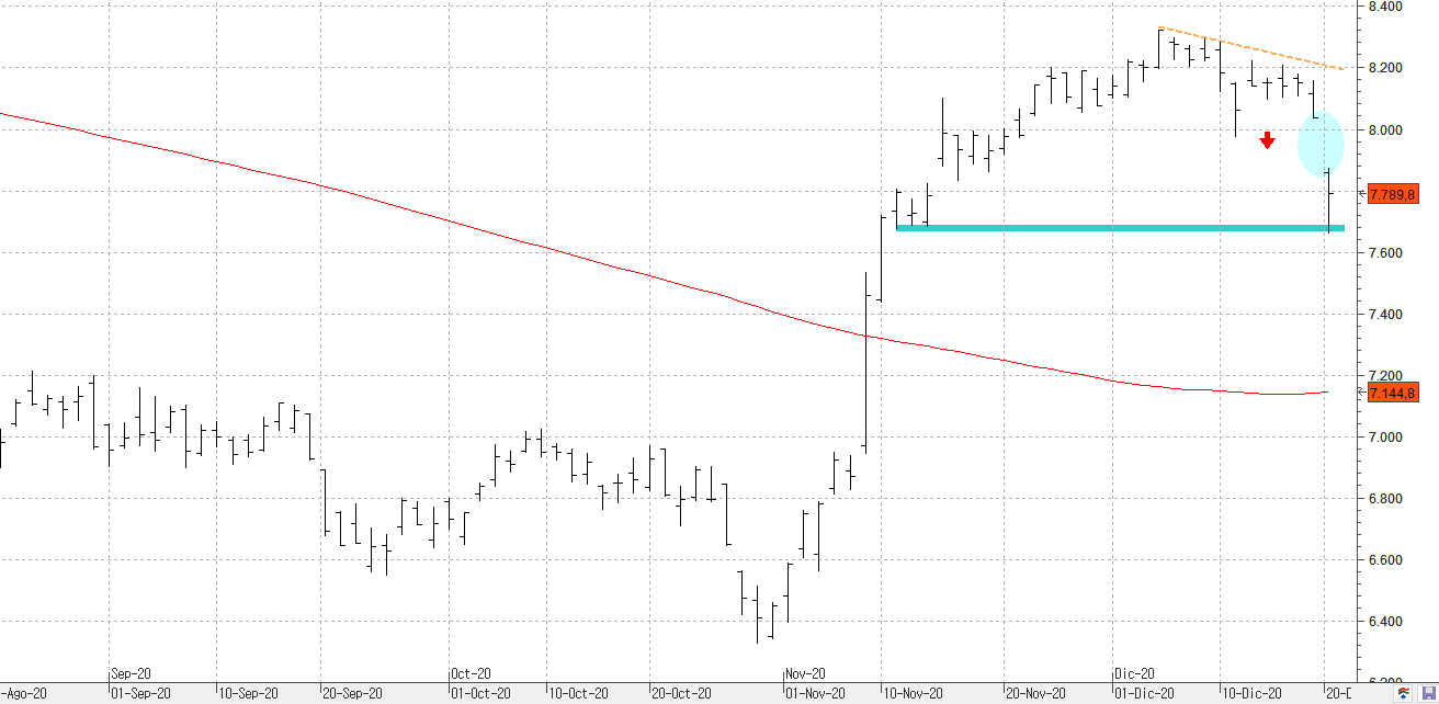 c211220ibex