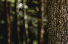 captura de pantalla 2025 12 19 a les 195927