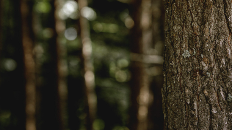 captura de pantalla 2025 12 19 a les 195927