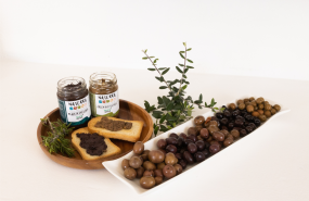 diseo sin ttulo 13 diseo sin ttulo 13