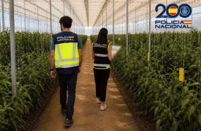 ep agentes de la policia nacional durante una inspeccion en una explotacion agricola de almeria en