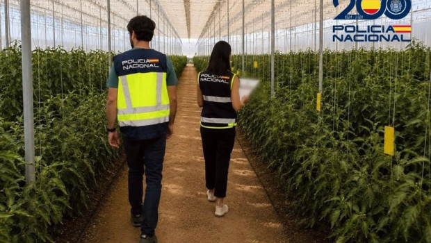 ep agentes de la policia nacional durante una inspeccion en una explotacion agricola de almeria en