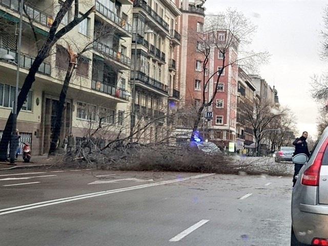 Þárbol Caído En Una Vía, | POLICÍA NACIONAL ep arbol caidouna via