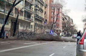 ep arbol caidouna via