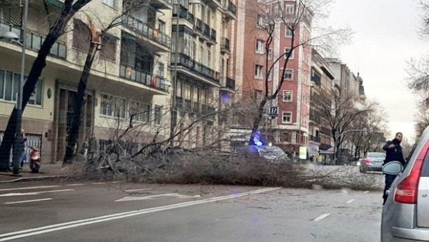 ep arbol caidouna via