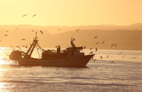 ep archivo barco pesquero 20230608154003 ep archivo barco pesquero 20230608154003