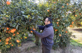 ep archivo   joven agricultor 20250606115703