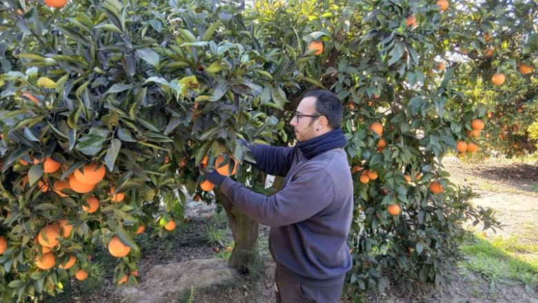 Archivo - Joven agricultor | LA UNIÓ - Archivo ep archivo joven agricultor 20250606115703