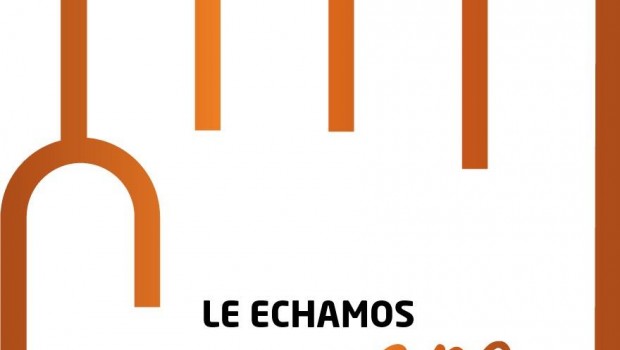 ep fundacion juan xxiii roncalli lanzaguiala ley generalla discapaci