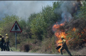 ep incendio forestal en galicia