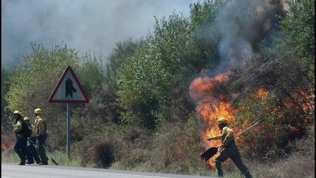 ep incendio forestal en galicia