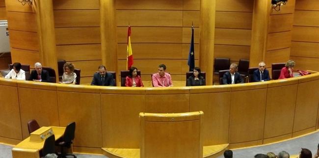 ep pedro sanchez presidesenadoreunion interparlamentariapsoe