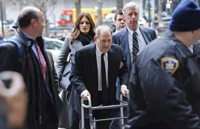 harvey weinstein andador