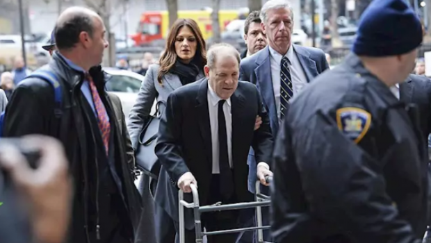 harvey weinstein andador