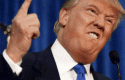 trumpenfadado1 trumpenfadado1