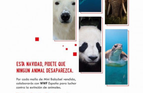 1574699079 me pido salvarlosbabybel wwf