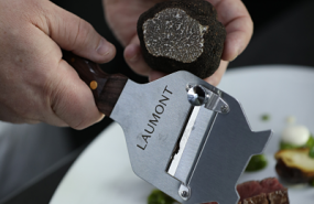 1618331926 laumontopt