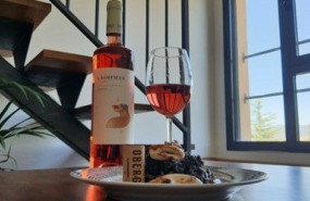 bodegas obergo 1 1 bodegas obergo 1 1