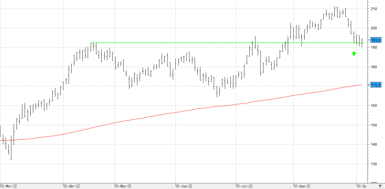 c050922acciona