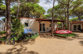 captura de pantalla 2026 02 11 a les 181817