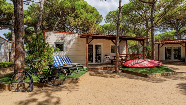 captura de pantalla 2026 02 11 a les 181817