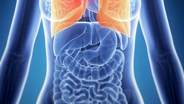 19040628 - 3D Rendered Illustration Of The Female Anatomy - Lung Cancer | HLA GRUPO HOSPITALARIO ep 19040628 - 3d rendered illustration of the female anatomy - lung cancer