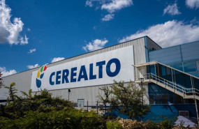 ep archivo   cerealto