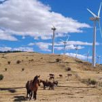 ep archivo   parque eolico 20260420104604