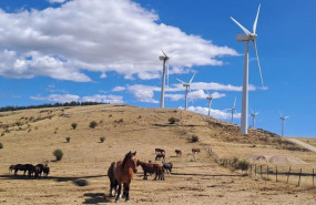 ep archivo   parque eolico 20260420104604