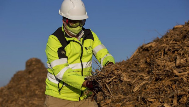 ep archivo   trabajador de ence sosteniendo biomasa