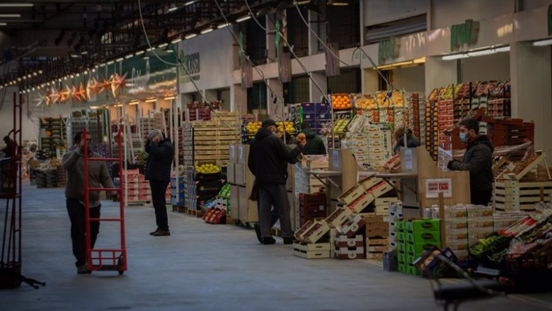 ep frutas y verduras en mercabarna en barcelona