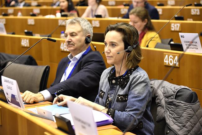Gamarra, en el pleno del CdR | AYUNTAMIENTO DE LOGROÑO ep gamarra enplenocdr