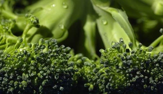 Investigadores del CSIC muestran la posibilidad de usar membranas vegetales para mejorar la aplicación de fármacos | CSIC ep investigadores del csic muestran la posibilidad de usar membranas vegetales para mejorar la
