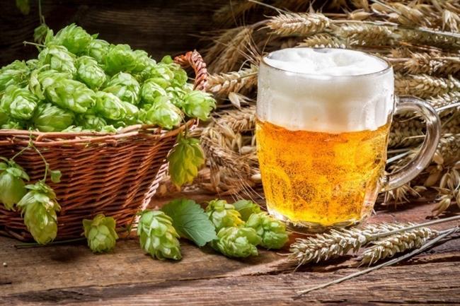 Lúpulo cerveza | SHAIITH ep lupulo cerveza