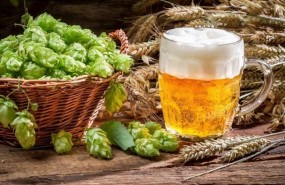 ep lupulo cerveza