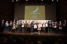 ep premios espigaoro 2017fesbal