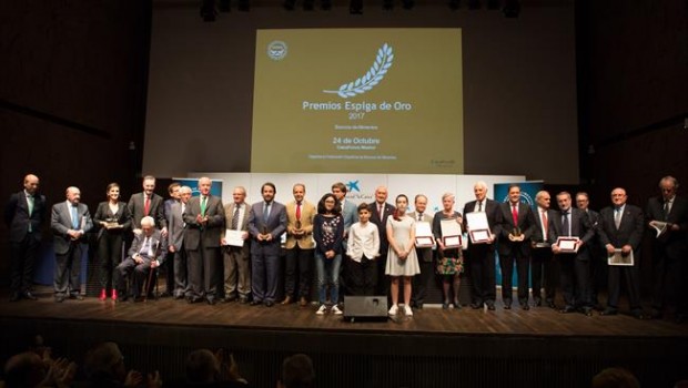 ep premios espigaoro 2017fesbal