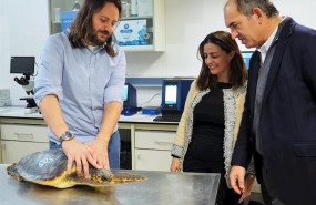 ep primer analisis para mostrar la capacidad del nuevo laboratorio