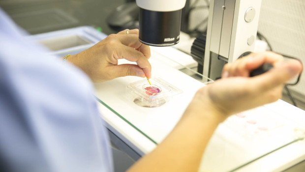 laboratorio fiv biloga 