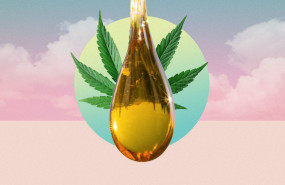 naturhash blog 16 5 23 naturhash blog 16 5 23